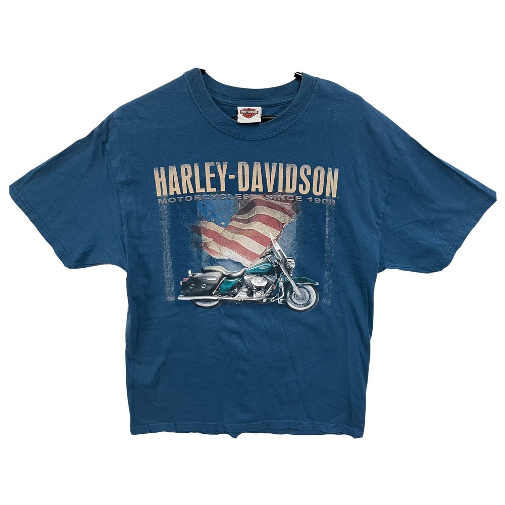 Harley Davidson Prince George VA USA Flag Motorcycle Blue T-Shirt Mens Medium M